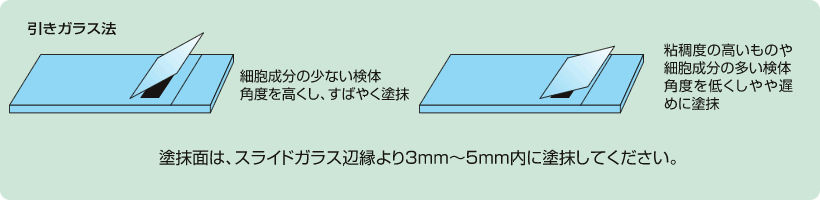 引きガラス法　細胞成分の少ない検体角度を高くし、すばやく塗抹　粘稠度の高いものや細胞成分の多い検体角度を低くし、やや遅めに塗抹　塗抹面は、スライドガラス辺縁より3mm～5mm内に塗抹してください。