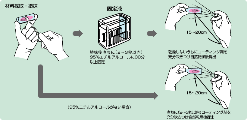 材料採取・塗抹：図